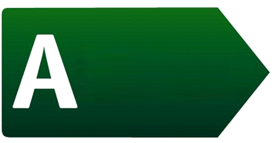 a_1