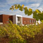 bodega_leyenda_del_p_ramo_800