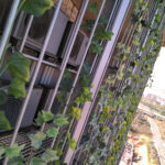 img_20180223_124321_941